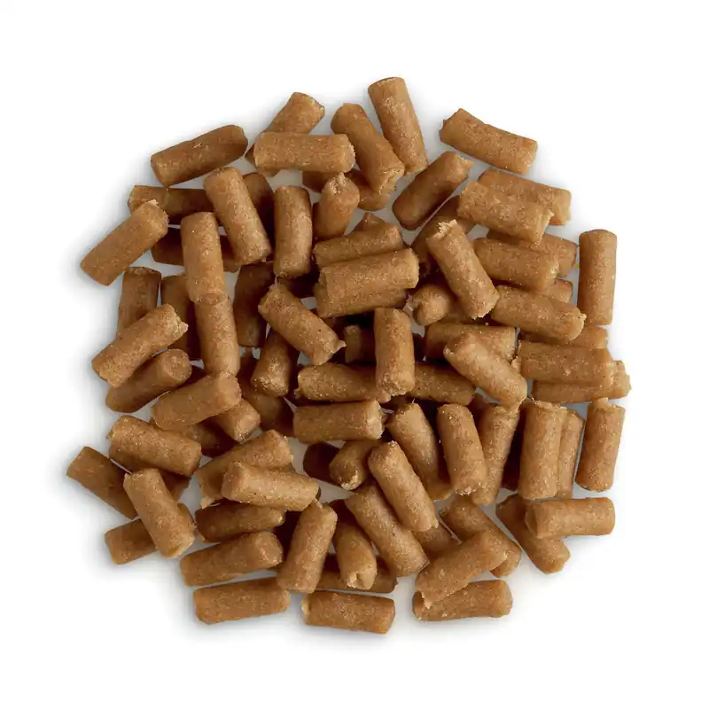 LOTTIS HÄPPCHEN Weiche Happen Pferd 150 g Neue Kollektion